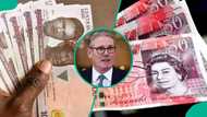British pound slumps against naira, dollar as UK Prime Minister's resignation sparks investor panic