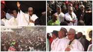 Peter Obi, Datti Enjoy Massive Turnout as LP Storms Kano for 2023 Presidential Campaign