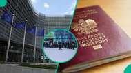 EU clarifies official timeframe to apply for Schengen visa