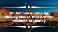 50 famous quotes by Mickey Mouse that are the essence of Disney