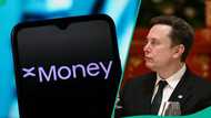 Elon Musk launches xMoney: 7 key things to know before using X’s new digital banking service
