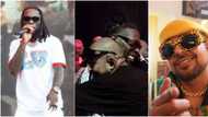 Burna Boy and Sean Paul in warm embrace after Jamaican rapper links up with him and his mum at Amsterdam show