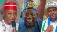 Ka tsamo 'yan Kano daga mummunan mulkin APC, Jigon NNPP ya kora yabo ga Abba Kabir