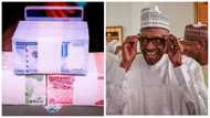 Jerin Riba 7 Da Muka Samu Dalilin Sauya Fasalin Takardun Kuɗi -Shugaba Buhari