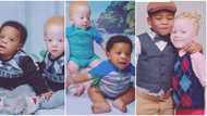 Amazing video shows rare twins, one albino, one black who are born to same parents, their beauty melts hearts