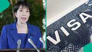 Japan lists 63 countries whose citizens can apply for Japanese visas for free