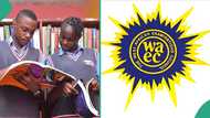 WAEC 2024: 45 students of Ogun secondary school score A1 in mathematics as their results emerge