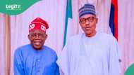 Breaking: Tinubu arrives in Katsina to receive Buhari’s body, video trends