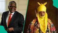 Emir Sanusi tells Nigerians what to do about Dangote Refinery shares
