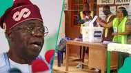 2027 Elections: Report lists 5 Nigerians Tinubu allegedly considering as next INEC chairman