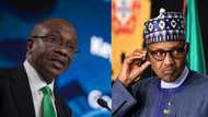 Emefiele: Kotu Za Ta Hukunta Tsohon Shugaban Kasa Buhari? Bayanai Sun Bayyana a Bidiyo