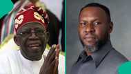 I moved Obidient structure to APC because Tinubu proved me wrong, says Balami