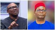 Peter Obi is overrated, prominent APC chieftain tackles Labour Party presidential candidate