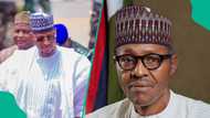 Buhari's burial: Video shows Katsina gov shedding tears at ex-president's graveside, clip trends