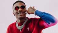Breaking: Wizkid wins Grammy award with Brown Skin Girl song alongside Beyonce