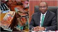 Just in: Nigeria's CBN to mint currency for another African country