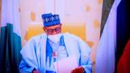 Has Buhari truly rejected Electoral Act Amendment Bill? Presidency reacts