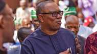 Peter Obi: BBC says Labour Party candidate is inspiring Nigerian youths