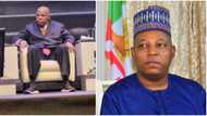 Why I deliberately wore sneakers to NBA Conference, Kashim Shettima