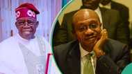 Tinubu’s investigator uncovers 593 foreign accounts ‘opened’ by Godwin Emefiele, gives details