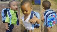 Dad cries out as little son returns from school in only underwear, dumps uniform
