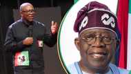 "Deporter-in-Chief": Tinubu's aide blasts Peter Obi for criticising Sanwo-Olu