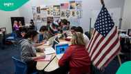 US student visas for Indian nationals drop 62% in 2025, report shows