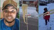 "Thank God Canada didn't give me visa": Man abroad takes pasta under snow, video shows it freezing