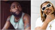 "001 don give landlord quit notice": Davido’s Unavailable takes back No 1 spot on Apple Music against YBNL Asake