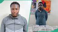 Photos trend as NDLEA busts British drug ring, intercepts N6.5b opioids in Lagos, Rivers ports