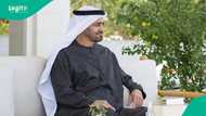 UAE Golden Visa: Top students and graduates requirements for renewal announced