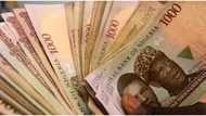 Dollar and pound depreciated against naira at black market, NAFEX