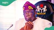 LG autonomy: Tinubu, governors finally reach 3-month agreement, details emerge