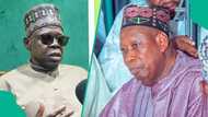 "Za mu hargitsa APC," Jigo a Kano ya ce za su bijirewa shugabancin Ganduje