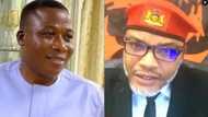 Yoruba group asks Igboho to learn from Nnamdi Kanu’s downfall