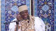 Kashe kashe a Zamfara: Ba zamu lamunta ba – kungiyar Jama’atu Nasril Islam
