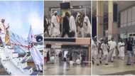 Ooni of Ife: Video of king’s dramatic arrival at airport trends, Nigerians gush over Africa’s rich culture