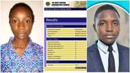 WAEC 2022: 4 people who cleared their papers in flying colours with A's, photos show amazing results