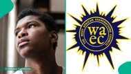 WAEC result 2025: Student who checked result shares unusual information displayed on his screen