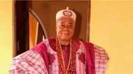 Killing of Ifon king a taboo in Yoruba land - Ondo monarchs fume, tell governor what to do