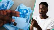How to spot fake N1,000 notes as counterfeit floods markets, traders share experience