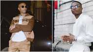 Make Wizkid a statue in Lagos: Man says as he reveals singer has the best album game in the last 10 years