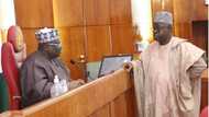 5 Important Things to Know About New Senate Leader, Ibrahim Gobir