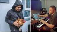 "Give am chicken beat": Reactions as Masterkraft's newest signee, a lucky fowl, to drop 1st song in 48 hours
