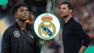 Chelsea join race to hijack Nigerian attacker from Brighton and Real Madrid