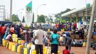 Fuel scarcity: NNPC finally opens up on cause of queues in Lagos, Abuja