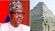 President Buhari to unveil CBN, RIFAN one million bags of rice pyramid in Abuja, the biggest in Africa