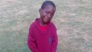 Little boy wins over people's hearts by helping struggling mum (photo)