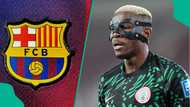Barcelona step up interest in Osimhen after Nigerian striker's brace against Gabon