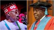 Presidency: Why 2023 election will not produce leaders with fresh ideas, Tinubu's kinsman reveals